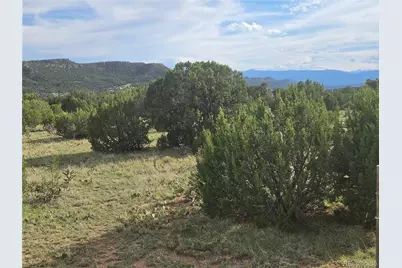 1284 Red Rock Circle, Penrose, CO 81240 - Photo 2