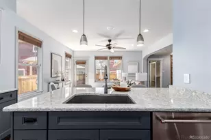 2913 Elmira St, Denver, CO 80238 - Photo 8