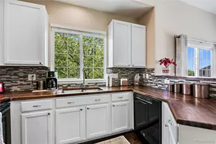 6825 S Webster St, Littleton, CO 80128 - Photo 10