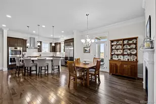 5093 Valentia St, Denver, CO 80238 - Photo 10