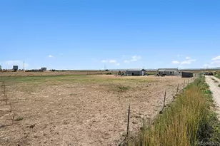 6669 Co Rd 19, Fort Lupton, CO 80621 - Photo 18