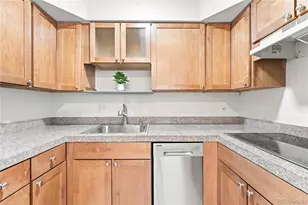 1056 N Marion Street, Denver, CO 80218 - Photo 12