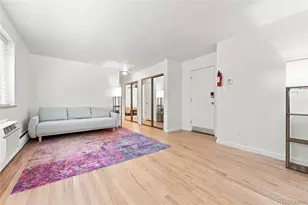 1056 N Marion Street, Denver, CO 80218 - Photo 6