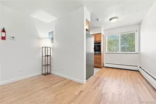 1056 N Marion Street, Denver, CO 80218 - Photo 10
