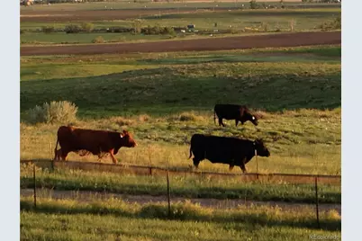 2223 Sunridge Circle, Broomfield, CO 80020 - Photo 30