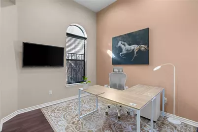 9254 Viaggio Way, Highlands Ranch, CO 80126 - Photo 8