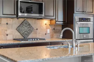 9254 Viaggio Way, Highlands Ranch, CO 80126 - Photo 18
