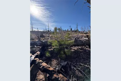 000 Riccardo Lane, Fort Garland, CO 81133 - Photo 22