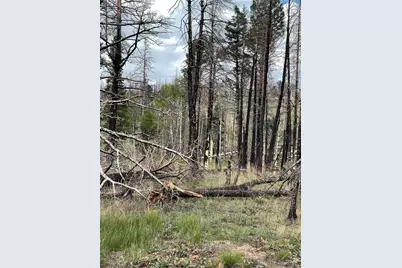 986 Levy Place, Fort Garland, CO 81133 - Photo 1