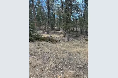 12887 S Cindy Avenue, Pine, CO 80470 - Photo 1