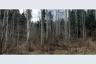 5660 Kawasaki Road, San Luis, CO 81152 - Photo 6