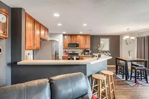 13802 Lilac St, Brighton, CO 80602 - Photo 10