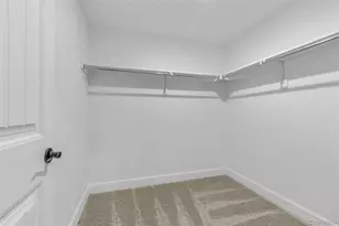 17409 Springfield Dr, Parker, CO 80134 - Photo 40