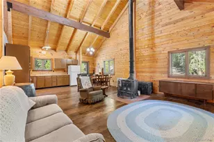 424 Dry Gulch Rd, Fairplay, CO 80440 - Photo 8