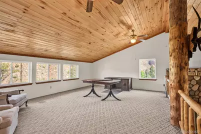 161 Shannon Road, Cotopaxi, CO 81223 - Photo 22