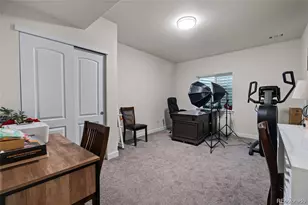 2350 Tyrrhenian Cir, Longmont, CO 80504 - Photo 30