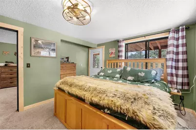 153 Arrowrock Circle, Florissant, CO 80816 - Photo 24