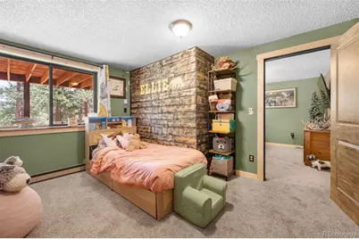 153 Arrowrock Circle, Florissant, CO 80816 - Photo 22