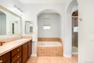 9135 E 29th Pl, Denver, CO 80238 - Photo 30