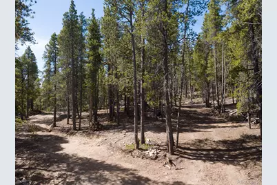 380 Georges Way, Alma, CO 80420 - Photo 12