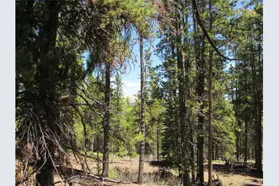 380 Georges Way, Alma, CO 80420 - Photo 20