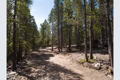 380 Georges Way, Alma, CO 80420 - Photo 8