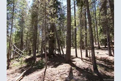 380 Georges Way, Alma, CO 80420 - Photo 28