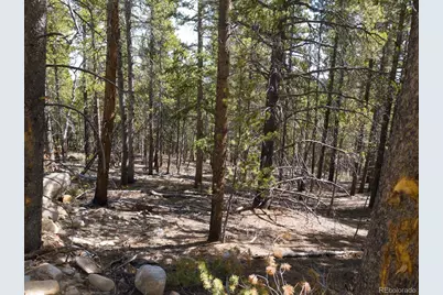 380 Georges Way, Alma, CO 80420 - Photo 24