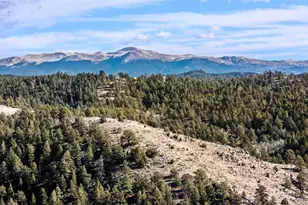 0 County Road 12, Florissant, CO 80816 - Photo 1