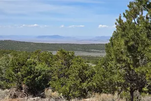 1380 Dunn Rd, San Luis, CO 81152 - Photo 28