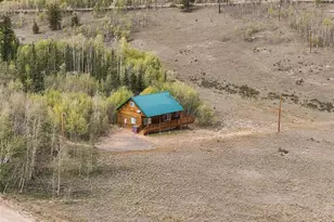 126 Warrior Cir, Como, CO 80456 - Photo 6