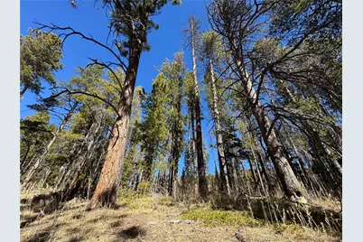 Lot 14X Wallace Avenue, Conifer, CO 80433 - Photo 6