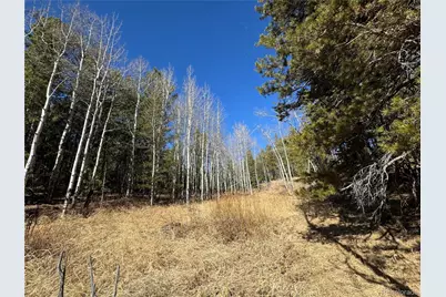 Lot 14X Wallace Avenue, Conifer, CO 80433 - Photo 22