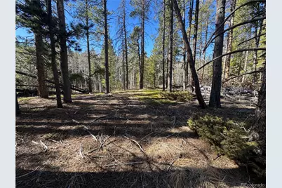 Lot 14X Wallace Avenue, Conifer, CO 80433 - Photo 20