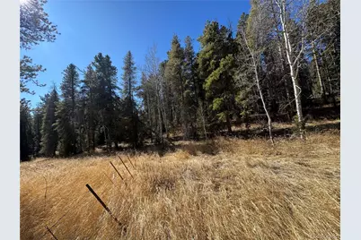 Lot 14X Wallace Avenue, Conifer, CO 80433 - Photo 24