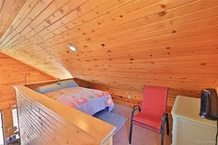 67410 Black Bear Dr, Collbran, CO 81624 - Photo 18