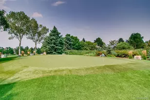 8578 Gold Peak Dr, Highlands Ranch, CO 80130 - Photo 26