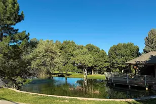 8578 Gold Peak Dr, Highlands Ranch, CO 80130 - Photo 28