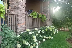 15828 Esprit Run, Broomfield, CO 80023 - Photo 30
