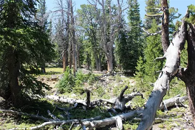 00 Fs 412.1J, Black Hawk, CO 80422 - Photo 20