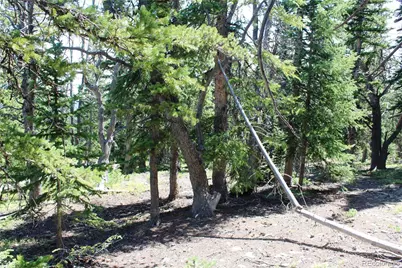 00 Fs 412.1J, Black Hawk, CO 80422 - Photo 8
