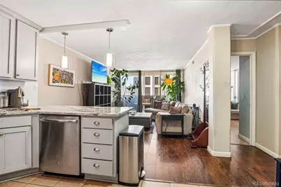 909 N Logan Street #5B, Denver, CO 80203 - Photo 16