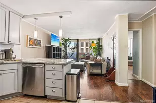 909 N Logan Street, Denver, CO 80203 - Photo 16