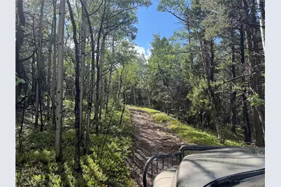 005 Roy Smith Road, Central City, CO 80427 - Photo 8