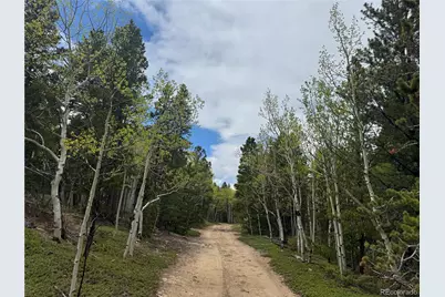 005 Roy Smith Road, Central City, CO 80427 - Photo 4