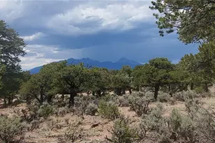 Lot3696 Branch Rd, Fort Garland, CO 81133 - Photo 1