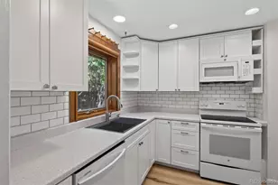 1219 Jasmine St, Denver, CO 80220 - Photo 6