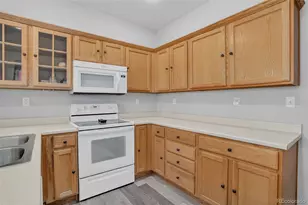 167 Whitehaven Cir, Highlands Ranch, CO 80128 - Photo 16