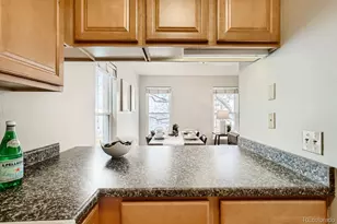 1201 Galapago St, Denver, CO 80204 - Photo 14