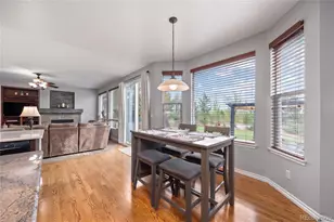 5791 Chisholm Pl, Parker, CO 80134 - Photo 10